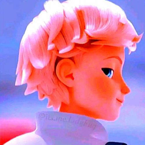 สมาชิกหมายเลข 7409278