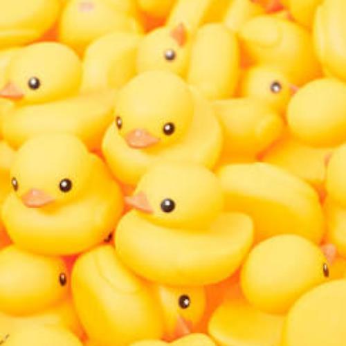 สมาชิกหมายเลข 4736766