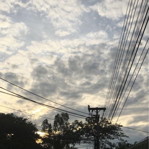 สมาชิกหมายเลข 4447815