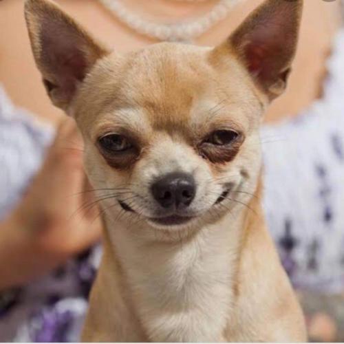 สมาชิกหมายเลข 6661178