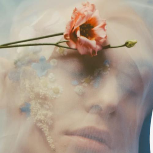 สมาชิกหมายเลข 6661382