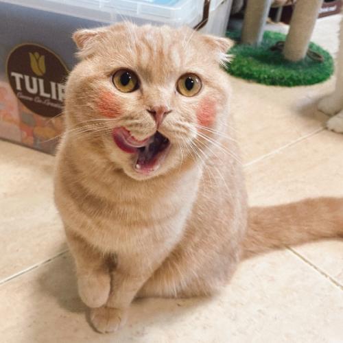 สมาชิกหมายเลข 4051075