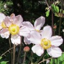 wu xia nan จอมยุทธ์แดนใต้