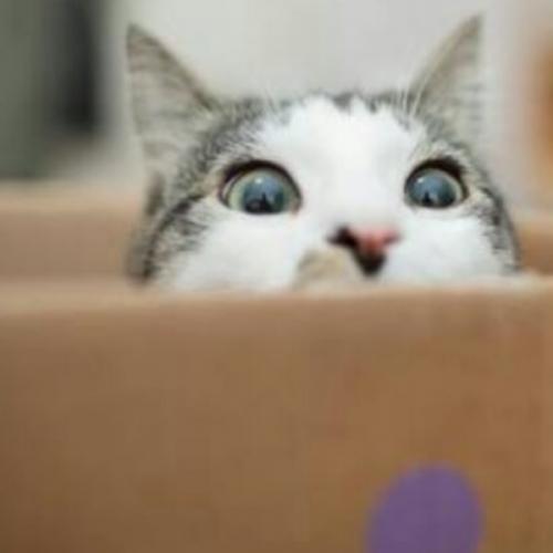 สมาชิกหมายเลข 5110910