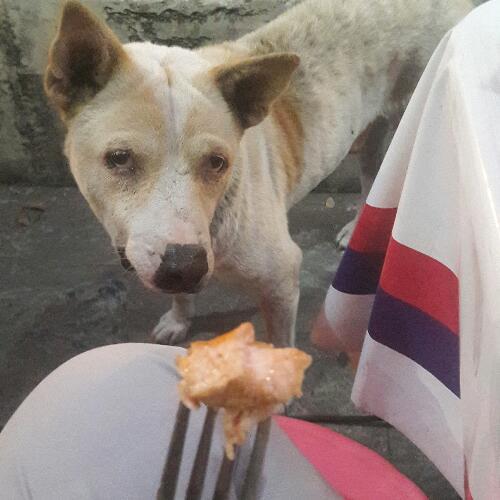 สมาชิกหมายเลข 5111098