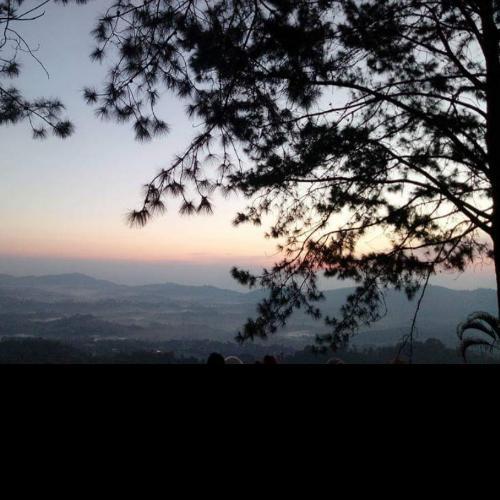 สมาชิกหมายเลข 4495337