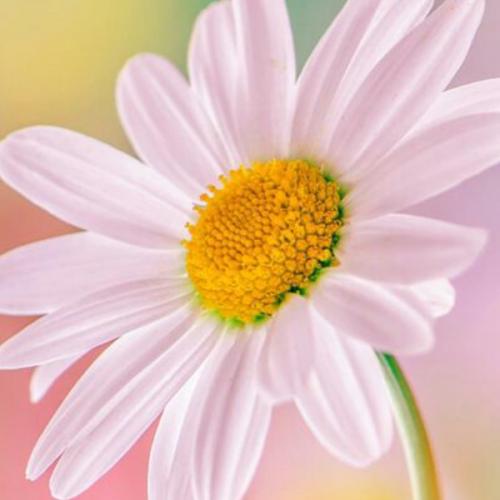 สมาชิกหมายเลข 3558002