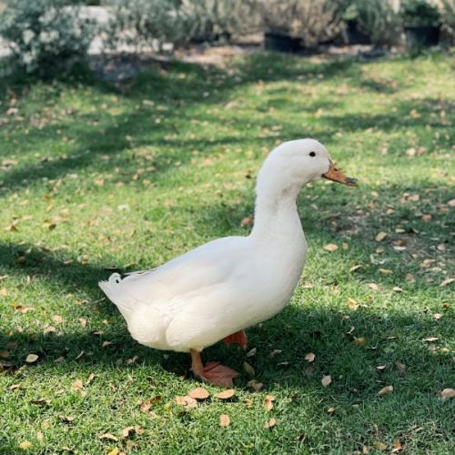 สมาชิกหมายเลข 7304055