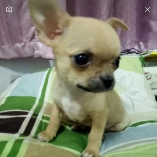 สมาชิกหมายเลข 4917164