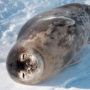 สมาชิกหมายเลข 1638385