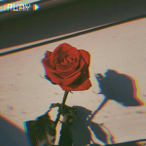 สมาชิกหมายเลข 5111513