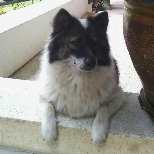 สมาชิกหมายเลข 1128702