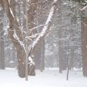 สมาชิกหมายเลข 2405459