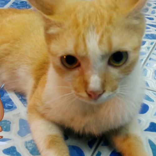 สมาชิกหมายเลข 4665647