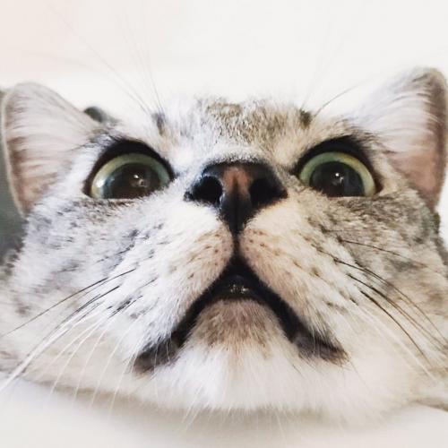 สมาชิกหมายเลข 4561007