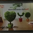 สมาชิกหมายเลข 3081550