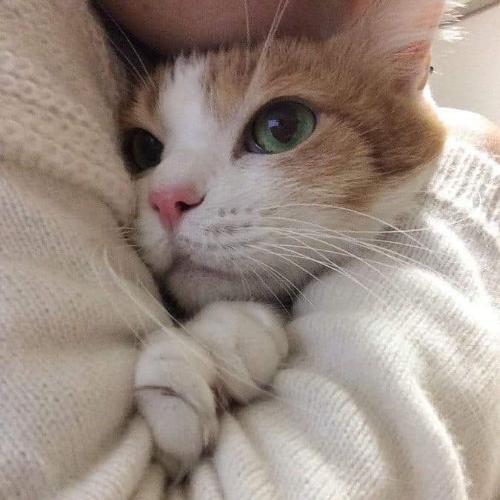 สมาชิกหมายเลข 5502648