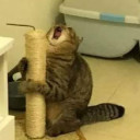 สมาชิกหมายเลข 5502656