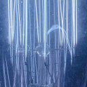 สมาชิกหมายเลข 5502755