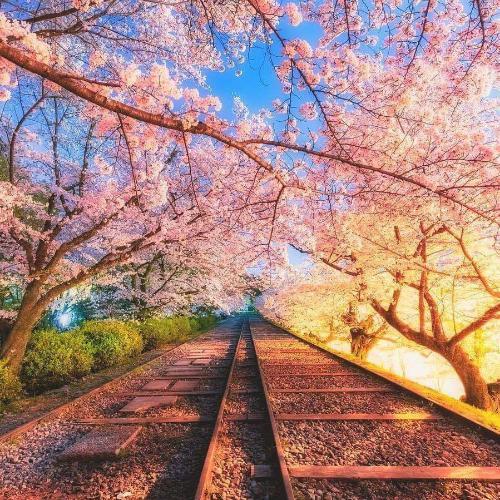 สมาชิกหมายเลข 5502760