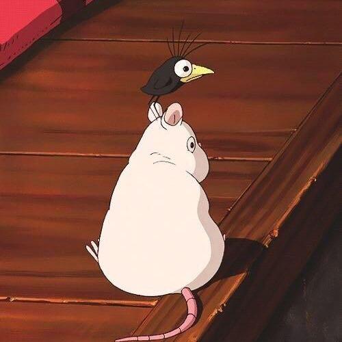 สมาชิกหมายเลข 6046519