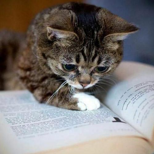 สมาชิกหมายเลข 1517776