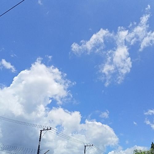 สมาชิกหมายเลข 6663186