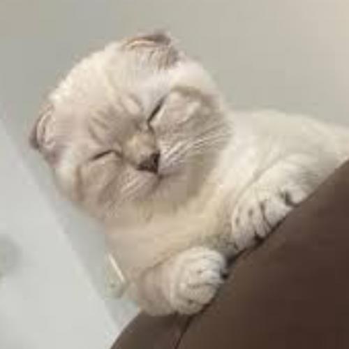 สมาชิกหมายเลข 879193