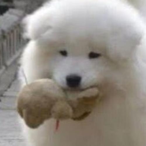 สมาชิกหมายเลข 4048600