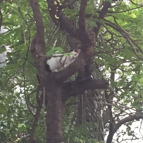 สมาชิกหมายเลข 1047429