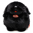 สมาชิกหมายเลข 4376292