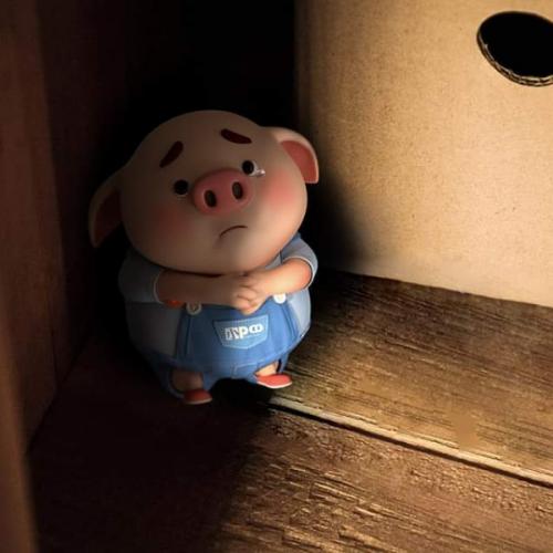 สมาชิกหมายเลข 4249476