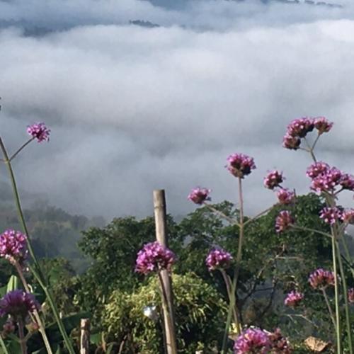 สมาชิกหมายเลข 4570091