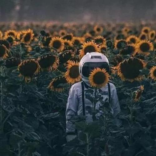 สมาชิกหมายเลข 4856802