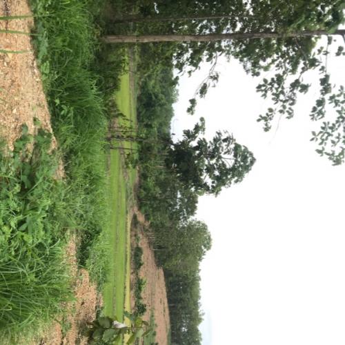 สมาชิกหมายเลข 6034890