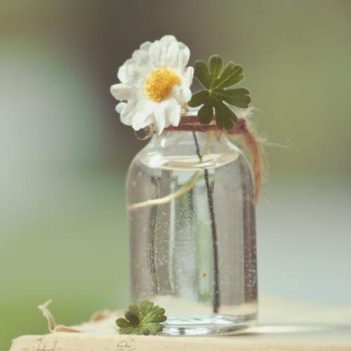 สมาชิกหมายเลข 6047664