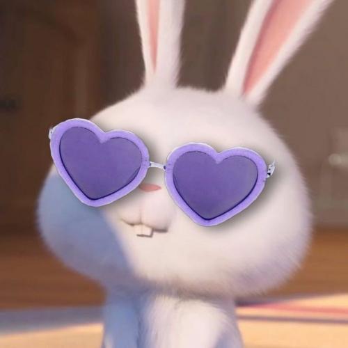 สมาชิกหมายเลข 6365581