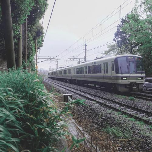 สมาชิกหมายเลข 1614282