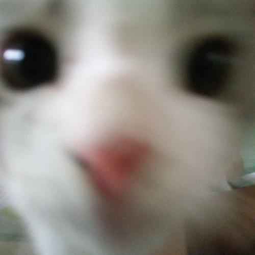 สมาชิกหมายเลข 3908543