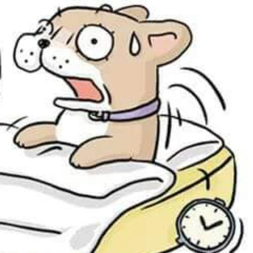 สมาชิกหมายเลข 4738708