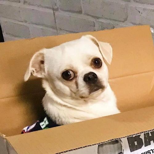 สมาชิกหมายเลข 6045006