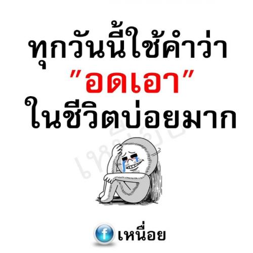 สมาชิกหมายเลข 6048097