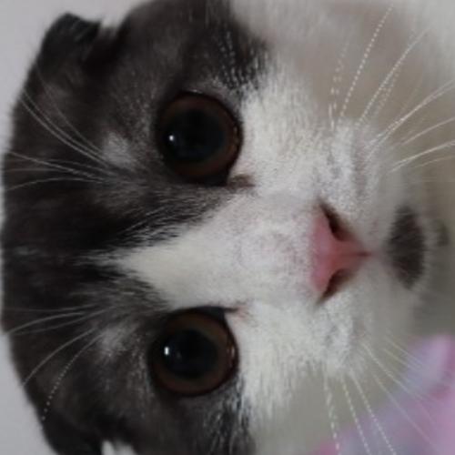 สมาชิกหมายเลข 1089828