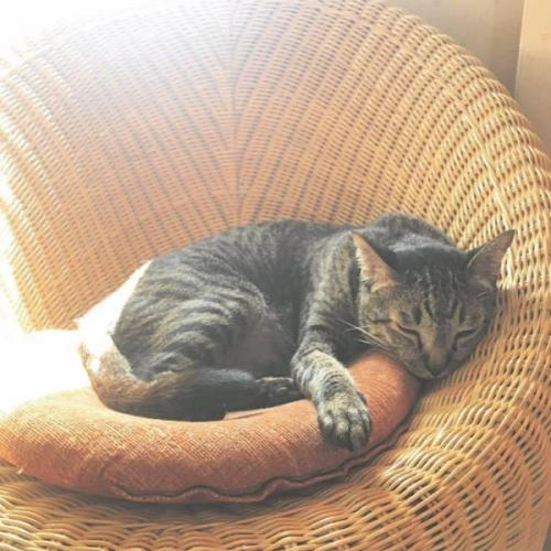 สมาชิกหมายเลข 7414309