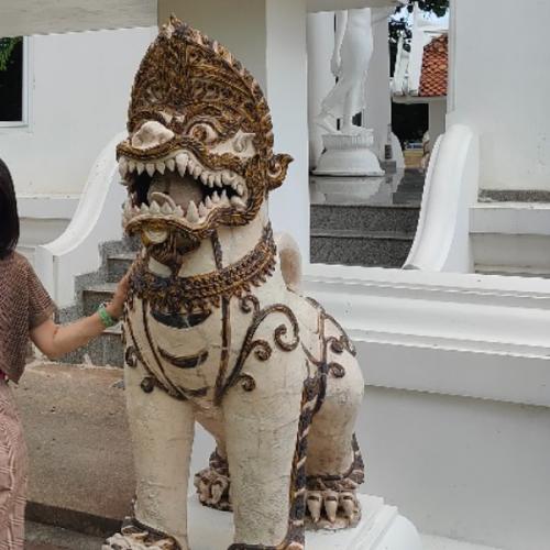 สมาชิกหมายเลข 7869028