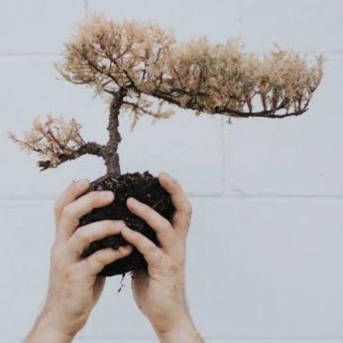 สมาชิกหมายเลข 8303225