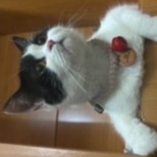 สมาชิกหมายเลข 1693227