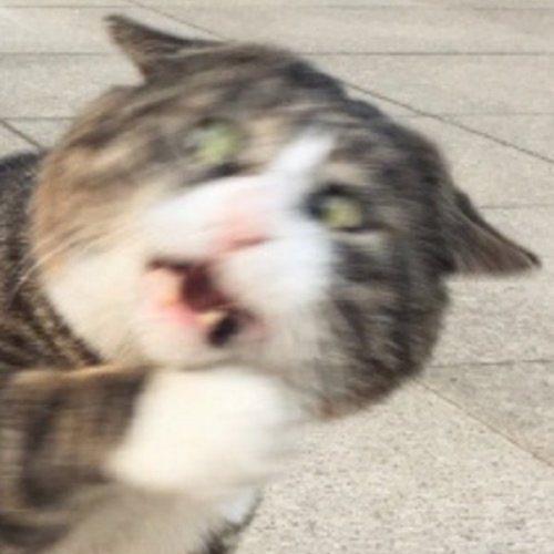 สมาชิกหมายเลข 6048623