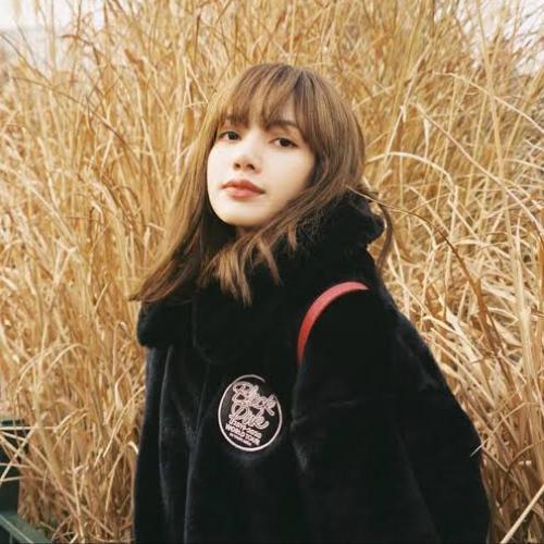 สมาชิกหมายเลข 6048711