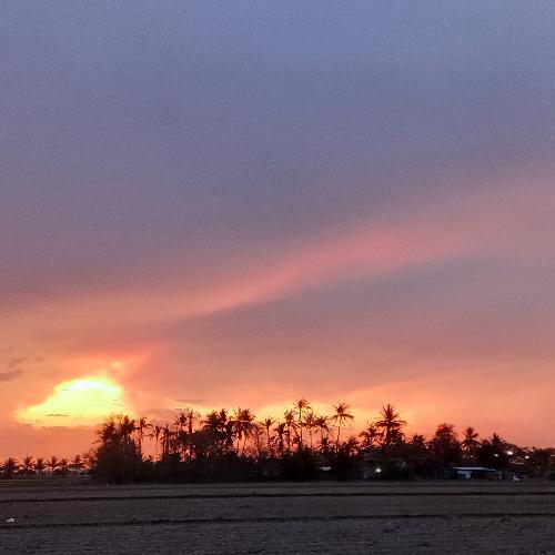 สมาชิกหมายเลข 3569326